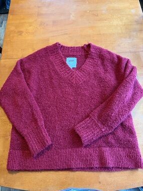 aerie Women's Burgundy V-Neck Fuzzy Sweater